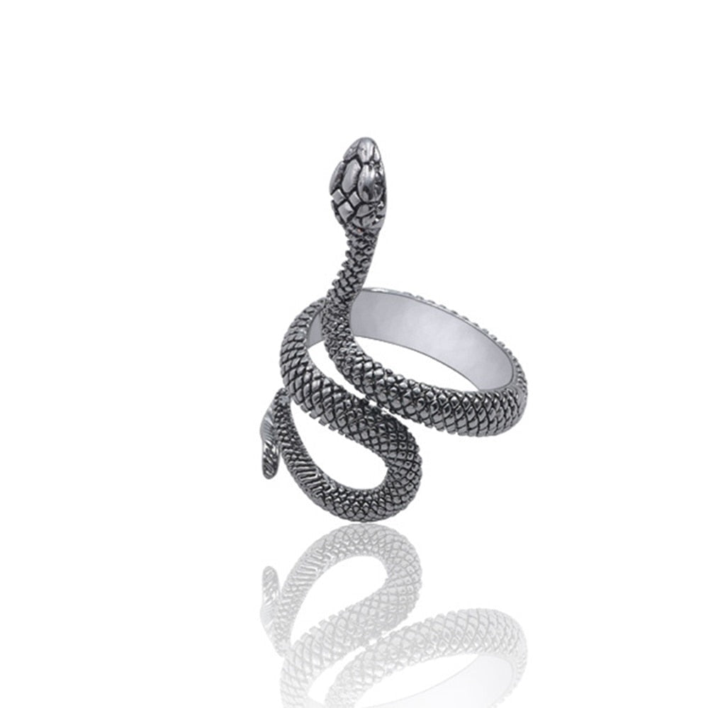 Snake Ring - Different Versions