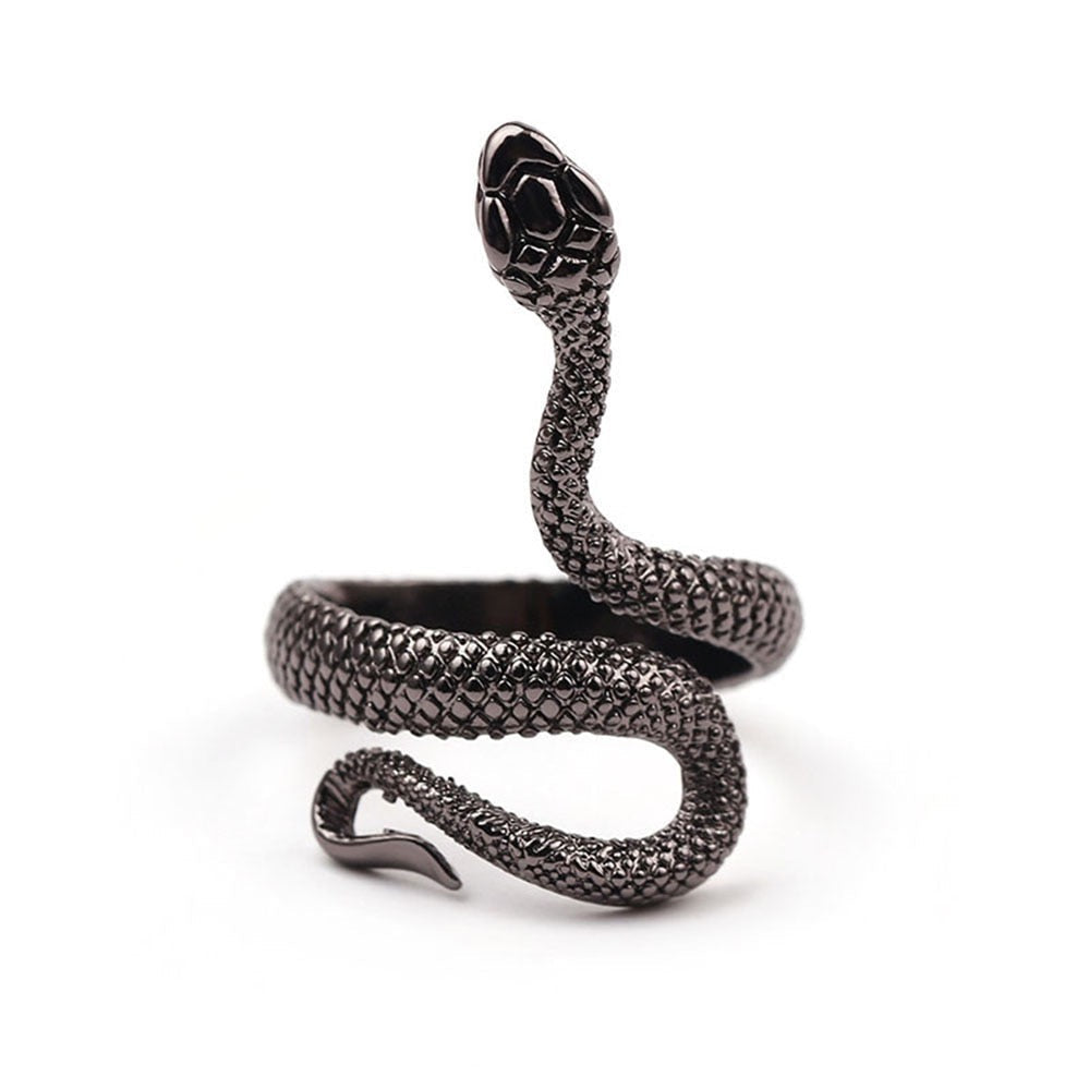 Snake Ring - Different Versions