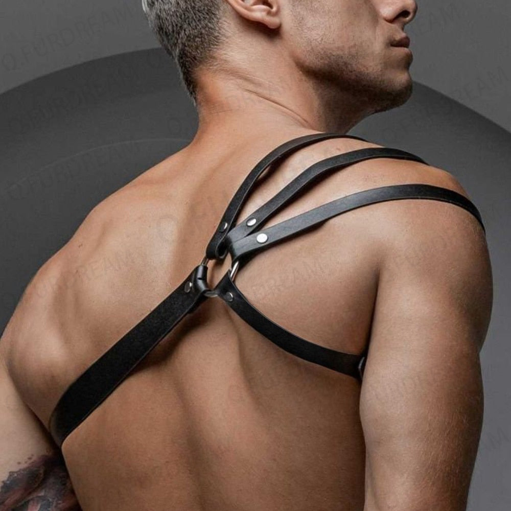 Laurin - Harness