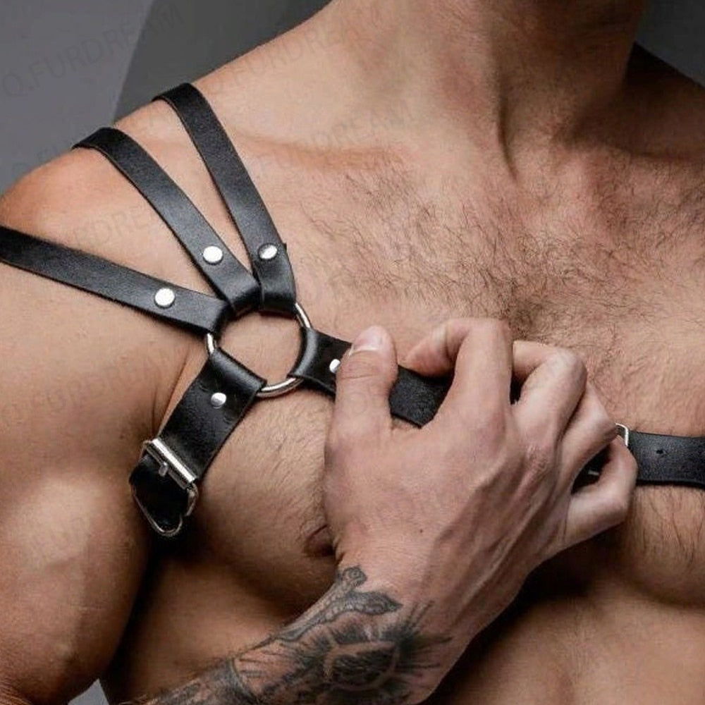 Laurin - Harness